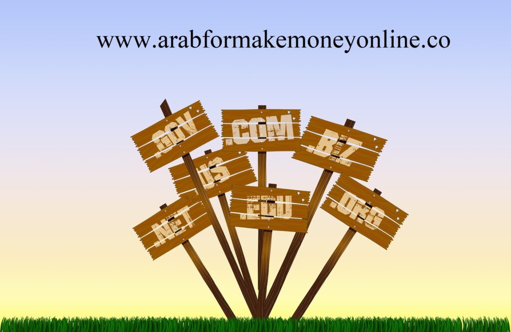 كيف تشترى دومين وتحقق الربح منه خطوة بخطوة 2022 1 كيف تشترى دومين وتحقق الربح منه - امتدادات الدومين نيم